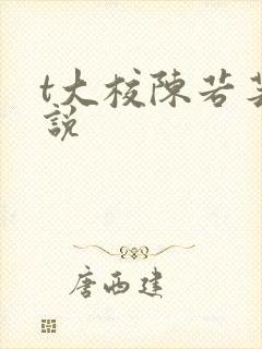 t大校陈若芸小说