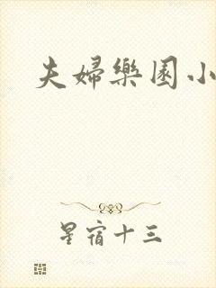 夫妇乐园小说