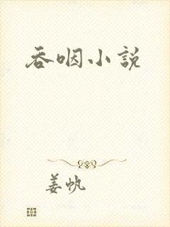 吞咽小说