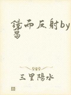 镜面反射by九葛