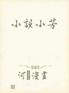 小说小芳