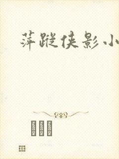 萍踪侠影小说封面