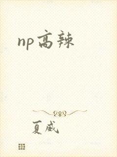 np高辣