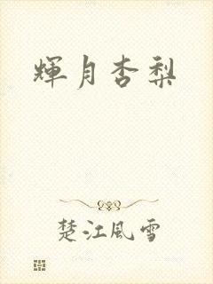 辉月杏梨封面