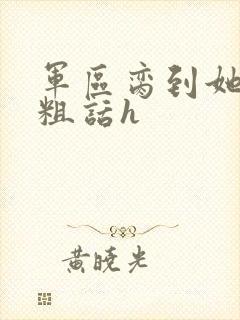 军区脔到她哭h粗话h