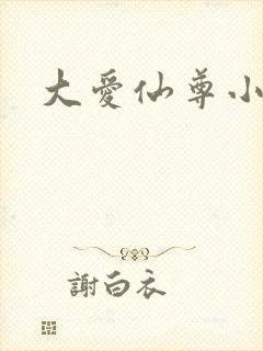 大爱仙尊小说