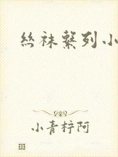 丝袜系列小说