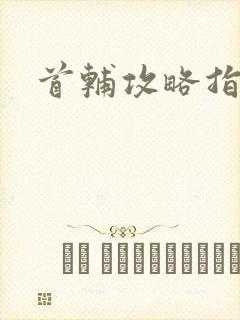 首辅攻略指南封面