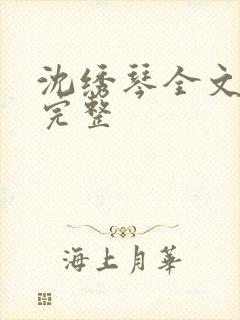 沈绣琴全文阅读完整