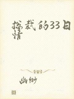 总裁的33日索情