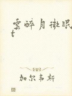 云醉月微眠txt