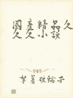 国产精品久久久久久小说封面