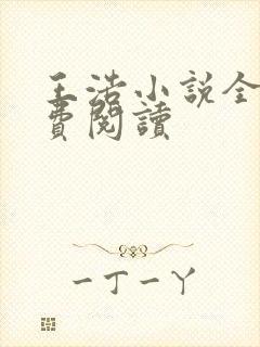 王浩小说全文免费阅读封面