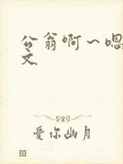 公翁啊~嗯啊h文