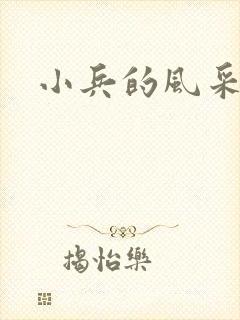 小兵的风采封面