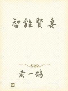 智能贤妻封面