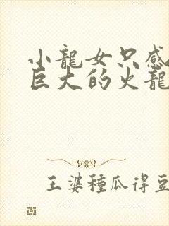 小龙女只感觉那巨大的火龙枪
