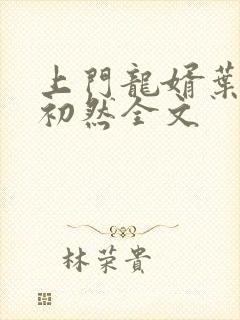 上门龙婿叶辰萧初然全文封面