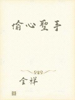 偷心圣手