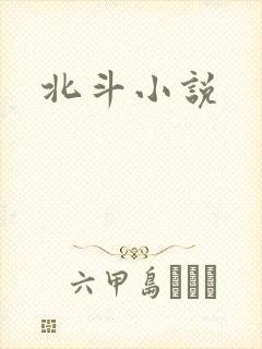 北斗小说