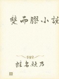 双面胶小说
