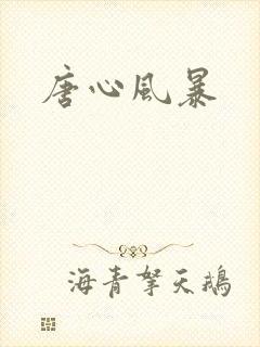唐心风暴