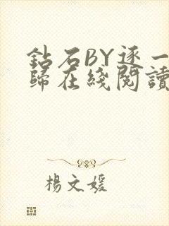 钻石BY逐一而归在线阅读封面