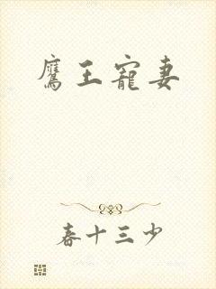 鹰王宠妻