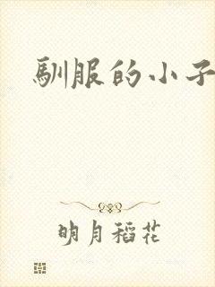 驯服的小子4