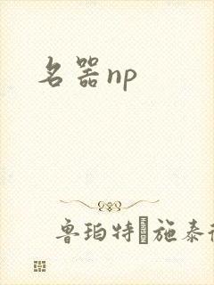 名器np