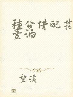 种公借配花间一壶酒