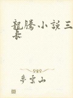 龙腾小说三宝局长封面