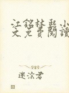 江铭林熙小说全文免费阅读封面