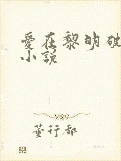 爱在黎明破晓前小说