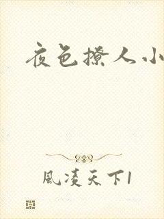 夜色撩人小说
