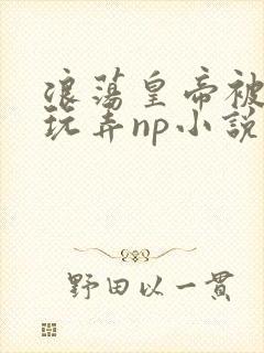 浪荡皇帝被多人玩弄np小说
