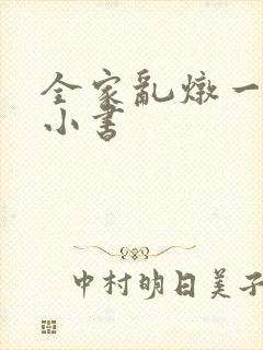 全家乱炖一锅烩小书封面