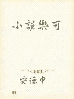 小说乐可封面