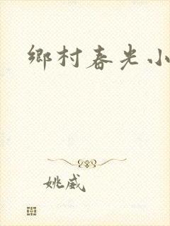 乡村春光小说封面