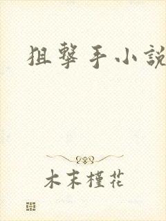 狙击手小说