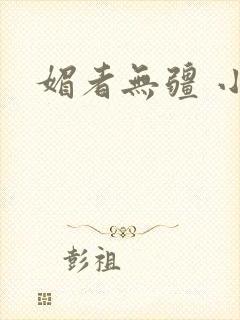 媚者无疆 小说封面