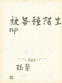 被各种陌生人 np封面