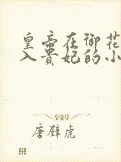 皇帝在御花园进入贵妃的小说封面