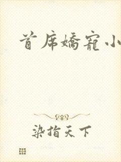 首席娇宠小情人
