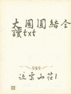 大团圆结全文阅读txt
