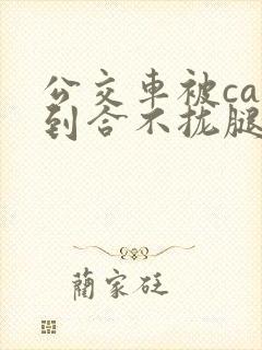 公交车被cao到合不拢腿视频