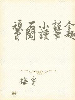 顽石小说全文免费阅读笔趣阁封面