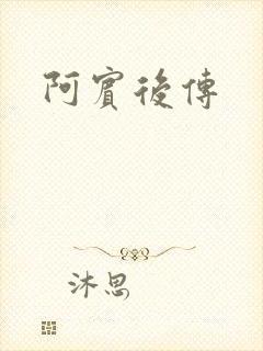 阿宾后传封面