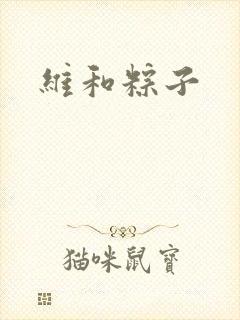 维和粽子
