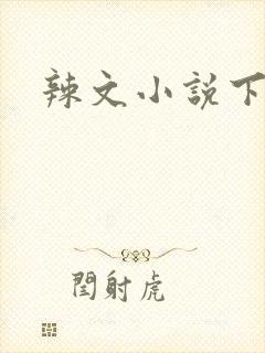 辣文小说下载